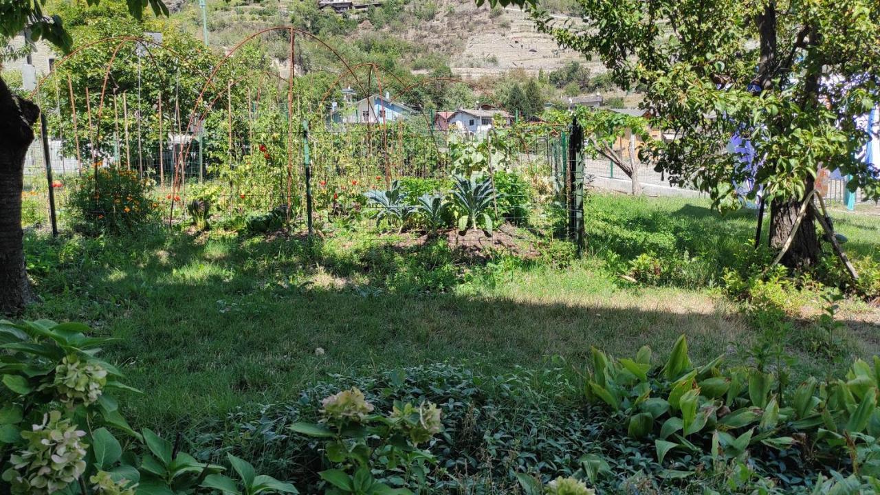Casabella Silvana Sarre Bagian luar foto